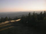 20 : 14