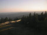 20 : 16