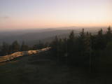 20 : 28