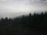 17 : 20