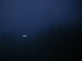 03 : 56