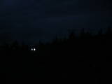21 : 56