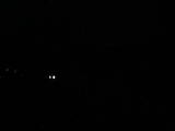 22 : 20
