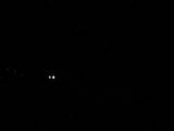23 : 44