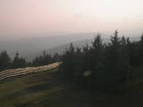 19 : 24