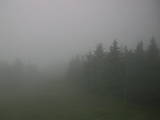 17 : 20