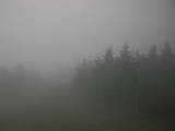17 : 36