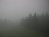 19 : 40