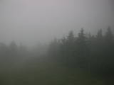 06 : 44