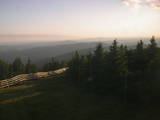 20 : 28