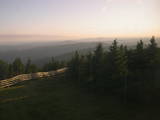 20 : 36