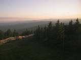 20 : 40
