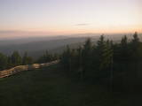 20 : 44