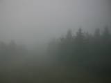 06 : 04