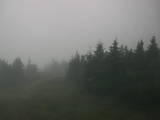 07 : 36