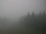08 : 00