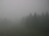 08 : 20