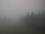 08 : 36
