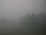 08 : 50
