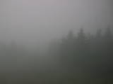 09 : 02