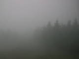 09 : 06