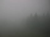 09 : 20