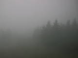 09 : 24
