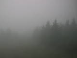 09 : 42