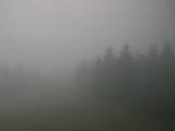 09 : 44
