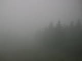 09 : 46