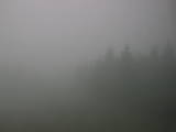 09 : 50