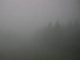 10 : 12