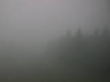 10 : 14