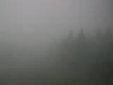 10 : 18