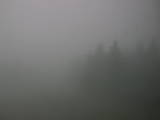 10 : 20