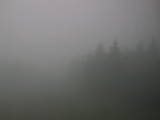 10 : 22