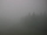 10 : 30