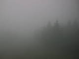10 : 32