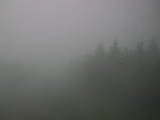 10 : 40