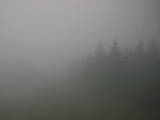 10 : 50