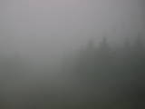 11 : 00