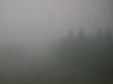 11 : 02