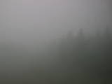 11 : 04