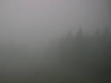 11 : 06