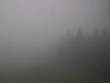 11 : 10