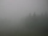 11 : 12