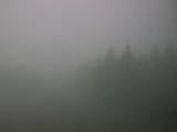11 : 20