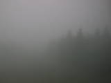 11 : 22