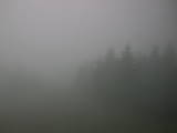 11 : 24