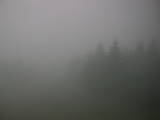 11 : 28